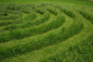 turf labyrinth
